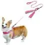 Easy Walking Dog Harness No Pull Reflective Padded Dog Training Harnesses with Leash Step in Escape Proof Adjustable Heavy Duty Puppy Vest Strap Lead Set for Small, Medium and Large Dogs,Rose Red S Easy Walking Dog Harness No Pull Reflective Padded Dog Training Harnesses with Leash Step in Escape Proof Adjustable Heavy Duty Puppy Vest Strap Lead Set for Small, Medium and Large Dogs,Rose Red S