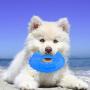 Dog Cooling Toy Puppy Teething Ring Freeze Dogs Chew Toy for Summer Tough Durable Pet Toys