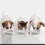 Lainrrew 3 Pcs Stainless Steel Dog Bowls, Dog Food Bowl Pet Feeder Bowl Cat Food Dish Replacement Pet Bowls for Pet Feeding Station - Metal Food and Water Dish for Small Dogs and Cats Lainrrew 3 Pcs Stainless Steel Dog Bowls, Dog Food Bowl Pet Feeder Bowl Cat Food Dish Replacement Pet Bowls for Pet Feeding Station - Metal Food and Water Dish for Small Dogs and Cats