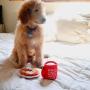 Lulubelles Power Plush Worlds Best Dog-Small