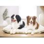 Fluffy Care Dog Bed Crate Pad Mat Pet Bed Puppy Bed Mat Mattress Kennel Pads 24 30 36 42 inch for Large Medium Small Dogs Cats Machine Washable Super Soft Cozy Non-Slip Bottom