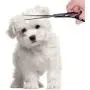 Dog Grooming Scissors Set- Stainless Steel Pet Grooming Kit 7 Inch Thinning Straight Curved Shears with Grooming Comb Perfect for Pet Groomer or Family DIY Use for dog cat and more pets Dog Grooming Scissors Set- Stainless Steel Pet Grooming Kit 7 Inch Thinning Straight Curved Shears with Grooming Comb Perfect for Pet Groomer or Family DIY Use for dog cat and more pets