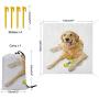 Nomorer Golden Retriever Outdoor Blanket Waterproof, Pet Dog Laying Down with Toy Friendly Domestic Puppy Playful Companion Light Picnic Blanket, 60'' x 57'', Multicolor