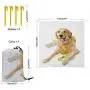 Nomorer Golden Retriever Outdoor Blanket Waterproof, Pet Dog Laying Down with Toy Friendly Domestic Puppy Playful Companion Light Picnic Blanket, 60'' x 57'', Multicolor Nomorer Golden Retriever Outdoor Blanket Waterproof, Pet Dog Laying Down with Toy Friendly Domestic Puppy Playful Companion Light Picnic Blanket, 60'' x 57'', Multicolor