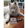 DeShedding comb - perfect tool for grooming dog & cat hair * THE ORIGINAL WOOFIE WAND * is a beautiful, lightweight, UNBREAKABLE stainless steel handle de-shedding brush - for small, medium & large pets with long, thick or short fur! A sturdy blad