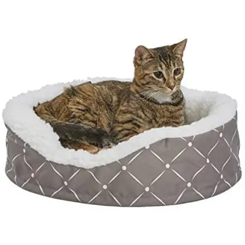 MidWest Homes for Pets CU20MRD Couture Orthopedic Cradle Pet Bed for Dogs & Cats, X-Small MidWest Homes for Pets CU20MRD Couture Orthopedic Cradle Pet Bed for Dogs & Cats, X-Small