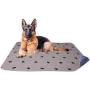 Paw Legend Waterproof Reusable Dog Pee Pads Super Absorbent (2 Pack) - Washable Dog Training Pads | Quality Travel Pee Pads for Dogs | Absorbent and Odor Controlling