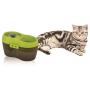 Cat H2O