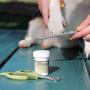 Coastal Pet Products W6108 NCL00 Safari Nail File with Contored Design for Regular Filing & MAINTENANCE OF Dog Nails