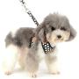SMALLLEE_Lucky_Store New Soft Mesh Nylon Vest Pet Cat Small Medium Dog Harness Dog Leash Set