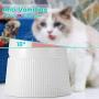 iPettie Elevated and Tilted Cat Food Bowl Cat Dish, Pet Feeding Station with Stand for Small Dog, Better Than Stainless Steel and Ceramic, Made from Certified Food-Safe Plastics, Non-Slip & No Spill