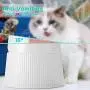 iPettie Elevated and Tilted Cat Food Bowl Cat Dish, Pet Feeding Station with Stand for Small Dog, Better Than Stainless Steel and Ceramic, Made from Certified Food-Safe Plastics, Non-Slip & No Spill