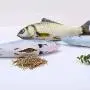 N-brand Cat Fish Toy Cat Peppermint cat Toy Imitation Fish Tickle cat Stick pet Plush Toy N-brand Cat Fish Toy Cat Peppermint cat Toy Imitation Fish Tickle cat Stick pet Plush Toy
