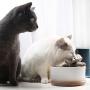 Ceramic Cat Water Fountain, Silent&Multilayer Filtering Cat Water Dispenser, Automatic Drinking Fountain for Pets (1.5L)