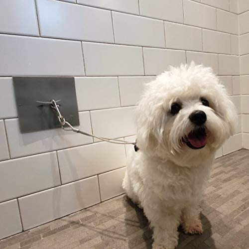 Pawbble Bath Dog Bath Suction Mat and Leash Tether