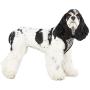 Pinkaholic New York Leo Pug Harness for Pets, Black, Large