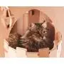 Personalized Cardboard Cat House with Balcones. Cat Furniture. Cat Fortress.