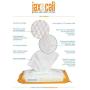 JAX & CALI All Natural Pet Toothbrush Wipes & Extra Large Paw and Body Wipes