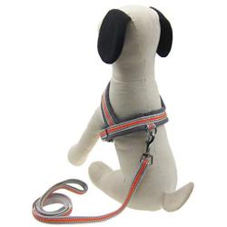 Alfie Pet - Neri Dog Harness Set Reflective Easy Walking Quickly Fit