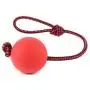 JKQ Dog Rope Ball Ball On A Rope Dog Toy Natural Elastic Solid Rubber Dogs Balls Chew Toys for Small Dogs JKQ Dog Rope Ball Ball On A Rope Dog Toy Natural Elastic Solid Rubber Dogs Balls Chew Toys for Small Dogs