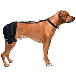 Caldera International Pet Therapy Hip Wrap with Gel, Large, Black (PET303)