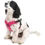 Gooby Dog Harness - Escape Free Sport Patented Step-in Neoprene Small Dog Harness - Perfect on The Go Four-Point Adjustable Harness for Small Dogs or Cat Harness