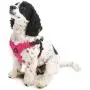 Gooby Dog Harness - Escape Free Sport Patented Step-in Neoprene Small Dog Harness - Perfect on The Go Four-Point Adjustable Harness for Small Dogs or Cat Harness