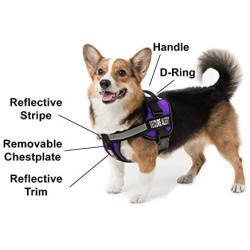Dogline Unimax Multi-Purpose Dog Harness Vest with Seizure Alert Patches Adjustable Straps, Comfy Fit, Breathable Neoprene for Service, Identification and Training Dogs