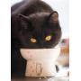 Raised Cat Bowl,Elevated, Porcelain Made, Pet Supplies, Backflow Prevention, Stress Free, Small to Medium, Safety Choice for Your Lovely pet, Superior for Wet and Dry Food…