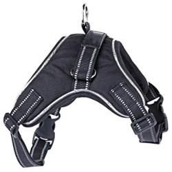 Pet Supplies for Large Dog Harnesses Adjustable LED Collar Pet Vest Dog Vest Accessories