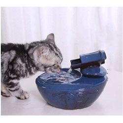 fountains and water features, 1.0L Indoor and Outdoor Automatic Electric Cat Drinking Water Dispenser Portable Hygienic Replaceable Filter Water Bowl for Cats, drinking fountains for dogs, Blue