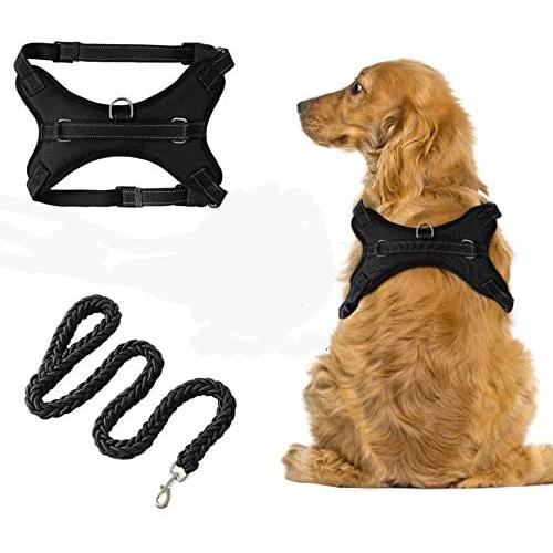 Dog Harness & Leash Set No-Pull Pet Vest with Round Braided Leash Safe Vest with Adjustable Breathable Mesh Pet Harness Soft Oxford Outdoor for Dogs Easy Control for Small Medium Large Dogs