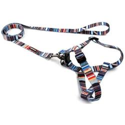 QQPETS Dog Harness Leash Set,Adjustable Vest Durable Heavy Duty Puppy Small Medium Large Dogs Perfect for Walking Running Training Splicing