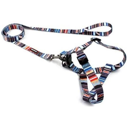 QQPETS Dog Harness Leash Set,Adjustable Vest Durable Heavy Duty Puppy Small Medium Large Dogs Perfect for Walking Running Training Splicing
