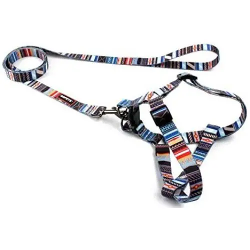 QQPETS Dog Harness Leash Set,Adjustable Vest Durable Heavy Duty Puppy Small Medium Large Dogs Perfect for Walking Running Training Splicing QQPETS Dog Harness Leash Set,Adjustable Vest Durable Heavy Duty Puppy Small Medium Large Dogs Perfect for Walking Running Training Splicing