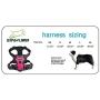 EXPAWLORER Best No-Pull Dog Harness - Reflective Outdoor Adventure Pet Vest with Handle