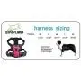 EXPAWLORER Best No-Pull Dog Harness - Reflective Outdoor Adventure Pet Vest with Handle EXPAWLORER Best No-Pull Dog Harness - Reflective Outdoor Adventure Pet Vest with Handle