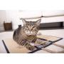 SmartyKat, Clever Claws, Cat Scratch Mat, Hanging Carpet Scratcher, Triple Panel, Foldable, Convertible, Reversible