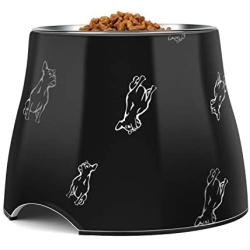 Flexzion Stainless Steel Elevated Dog Bowl Feeder - Raised Cat Pet Dish with Removable Food Water Holder Anti-tip Rubber Slip Bottom for Older Small to Medium Breeds