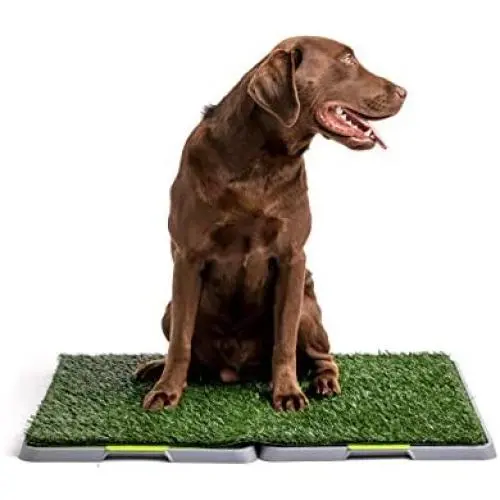 Silver Paw Potty Patch Dog Potty – Replaces Wee Wee Pads – The Best Pet Turf Potty Training Tool – Works for Puppies & Adult Dogs – For Big Dogs Silver Paw Potty Patch Dog Potty – Replaces Wee Wee Pads – The Best Pet Turf Potty Training Tool – Works for Puppies & Adult Dogs – For Big Dogs
