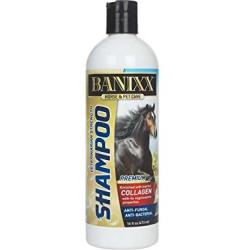 Banixx Medicated Anti-Fungal, Anti-Bacterial Shampoo