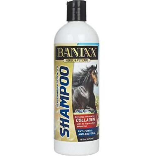 Banixx Medicated Anti-Fungal, Anti-Bacterial Shampoo