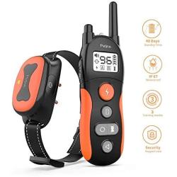 PetInn Dog Training Collar Bundle with Dog Treat Toy Ball