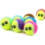 Pet Toy Vogue Tennis Balls Run Catch Throw Play Funny