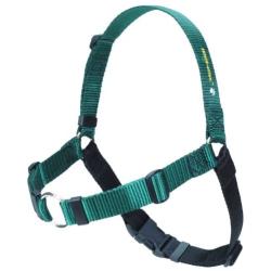 Sense-ation No-Pull Dog Harness - Green with Black Medium/Large Wide