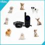 eXuby - Tiny Shock Collar for Small Dogs 5-15lbs - Smallest Collar on The Market - Sound, Vibration, & Shock - 9 Intensity Levels - Pocket-Size Remote - Long Battery Life - Water-Resistant