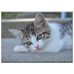 Triple Blank Wall Plate Cover - Cat Kitten Pet Cat Eyes Cats Cute Kittens Little