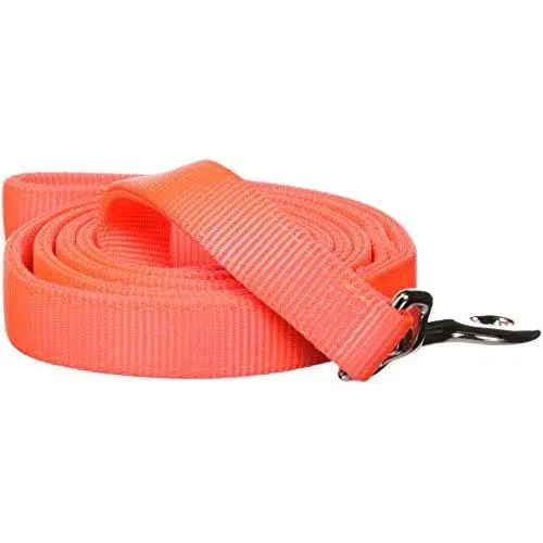 Hamilton Double Thick Nylon Dog Training Lead Total Length Including Loop Handle, 1-Inch by 6-Feet, Hot Orange Hamilton Double Thick Nylon Dog Training Lead Total Length Including Loop Handle, 1-Inch by 6-Feet, Hot Orange