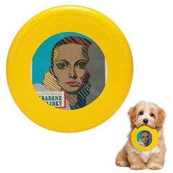 Pet Frisbee Flying Disc Dog Toy - Multifunction Stolen Kisses_795666d2 Aa64 4f8a 8602 9b0a9ed51877