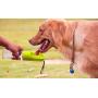 Sofunii Dog Water Bottle for Walking, Portable Pet Travel Water Drink Cup Mug Dish Bowl Dispenser, Made of Food-Grade Material Leak Proof & BPA Free - 15oz Capacity (Green)